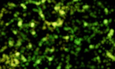 Tütsü dumanı lekeli soyut zemin. Siyah arkaplan üzerinde şeffaf dumanlı tütsü kokusu ve aromatik renkli tütsü. Taranmış Soyut Arkaplan. Fırça darbeli resim.