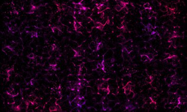 Tütsü dumanı lekeli soyut zemin. Siyah arkaplan üzerinde şeffaf dumanlı tütsü kokusu ve aromatik renkli tütsü. Taranmış Soyut Arkaplan. Fırça darbeli resim.