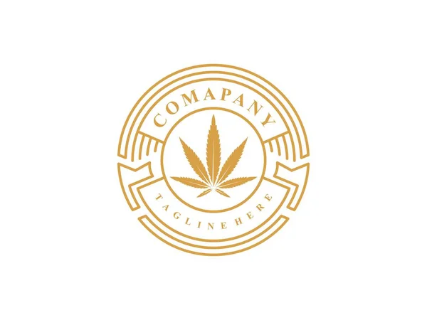 Vintage Luxury Cbd Cannabis Marijuana Leaf Logo Design Vector — Stock Photo, Image