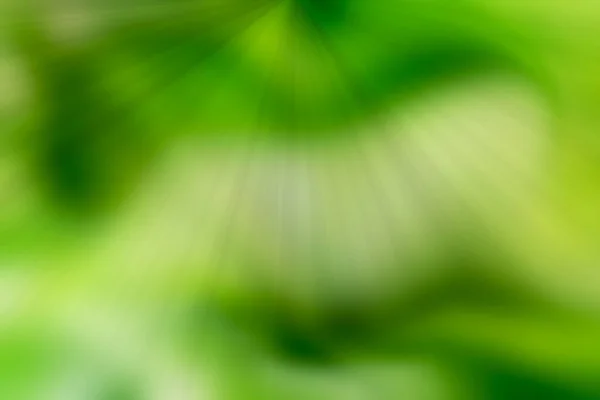 Abstract Green Sun Ray Light Effects Background Blurred Motion — ストック写真