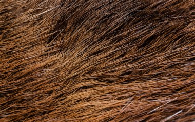 Soyut kahverengi hayvan kürkü dokusu arka planı. 