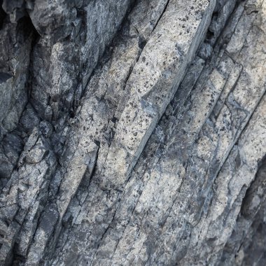 Kabataslak desenli kaya yüzeyi.