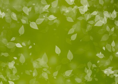 Doğal yeşil yaprak deseninde soyut yeşil renk farkı parlak ışık, sihirli duvar kağıdı arka planı. Çevre dostu ve çevresel kavram