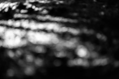 Soyut koyu gri bulanık bokeh parıltısı, sihirli ışık arkaplanı. Uzayı kopyala Duvar kağıdı, sunumlar, afiş, kart, kitap kapağı vs. için ideal., 