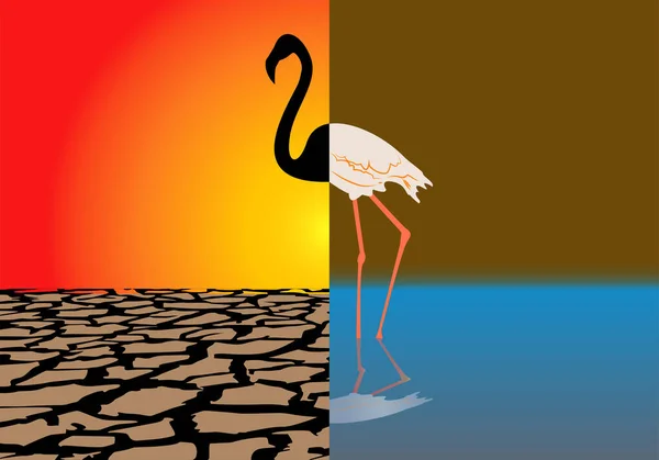 Dürre Gegen Wasser Feuchtgebiete Schwarze Silhouette Von Flamingo Auf Rissigem — Stockvektor