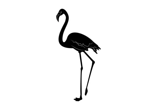 Значок Силуэта Фламинго Деталями — стоковый вектор
