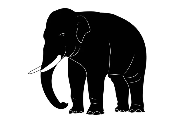 Black White Elephant Icon Zoo Wild Animals — Stock Vector