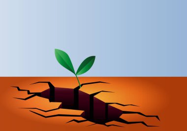 Kuru ve çatlamış topraktan büyüyen yeşil bir filiz. Umut. İyileşme. Yenilenme