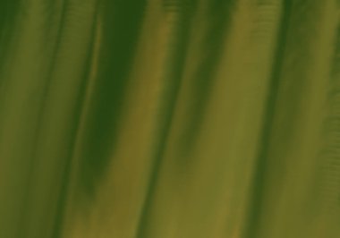 Dikey yeşil doğa arkaplanı