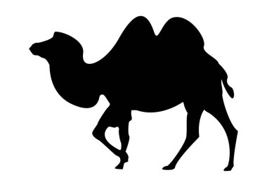 Black silhouette of a two-humped Bactrian camel. desert animal clipart