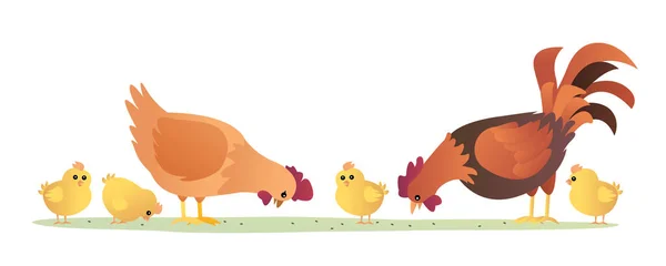 Set Rooster Hen Chicks Eating Illustration — Stock Vector