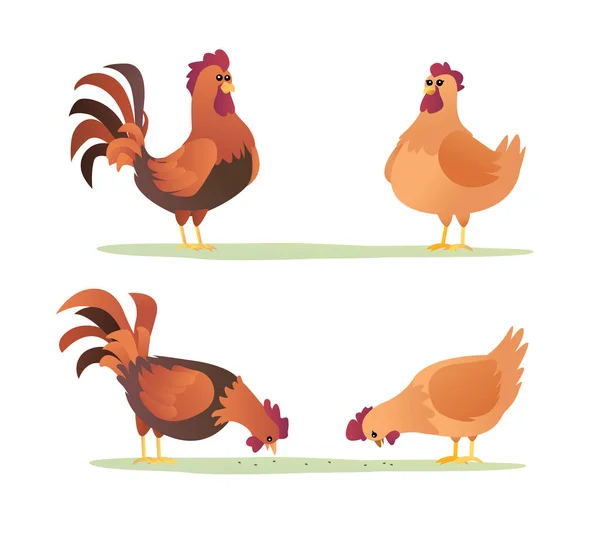 一套公鸡和母鸡卡通片 不同姿态中的小鸡字符矢量图 — 图库矢量图片
