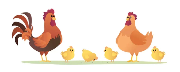 Hähne Und Küken Set Von Hühnern Cartoon Illustration — Stockvektor