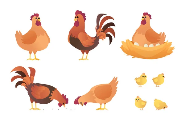 Set Roosters Hens Chicks Cartoon Chicken Characters Different Poses Vector — Stock Vector
