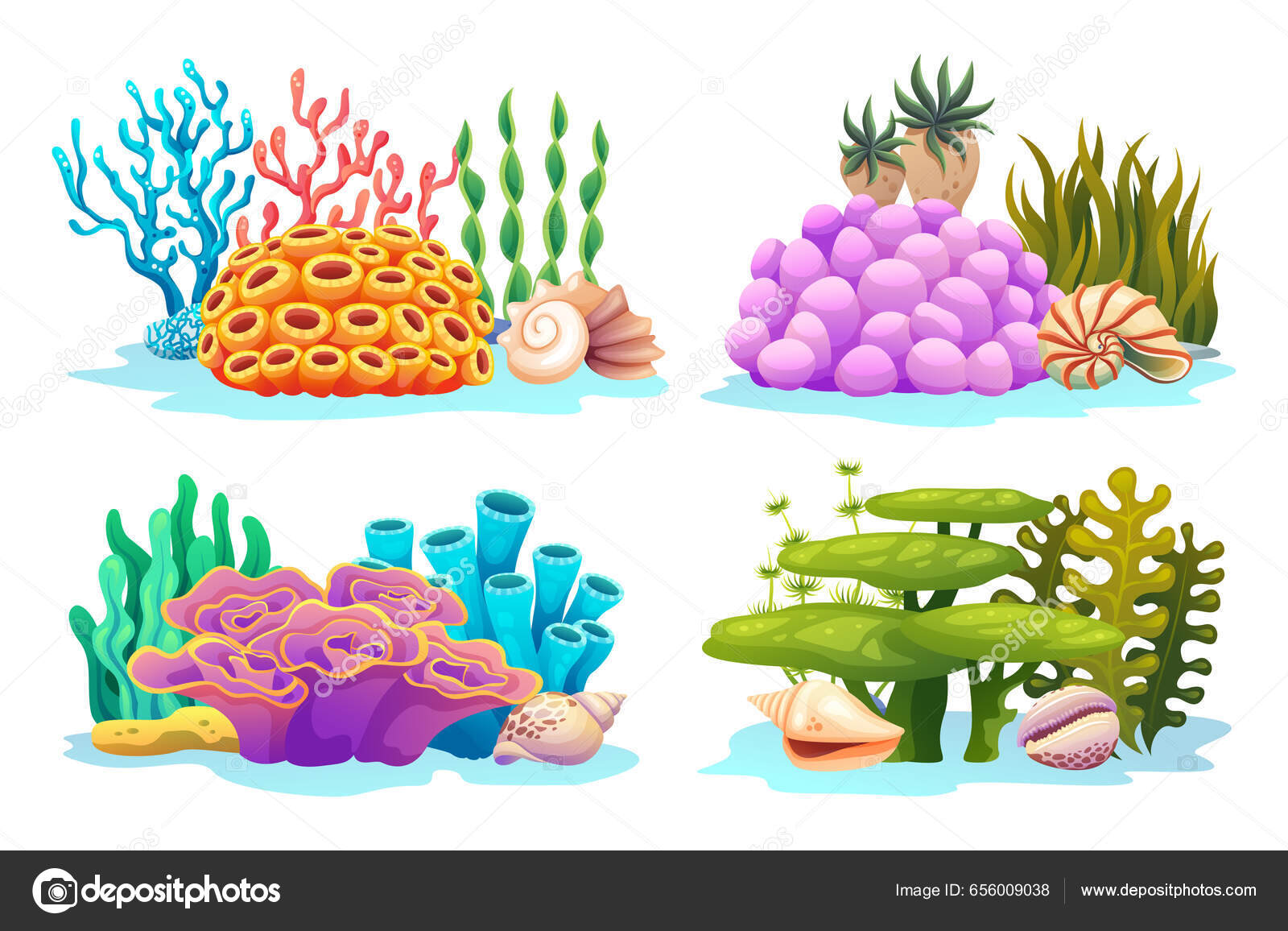 Set Underwater Coral Reefs Algae Seaweed Seashells Various Types