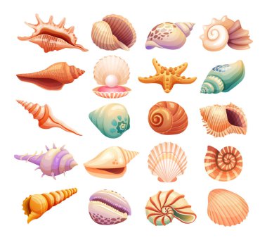 Beyaz arka planda izole edilmiş çeşitli deniz kabuğu örnekleme koleksiyonları