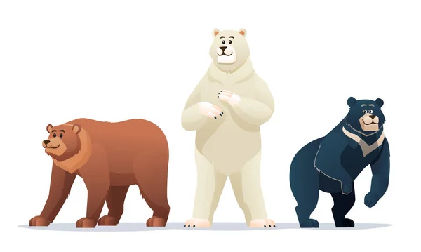 Diferentes Tipos Ursos Desenho Animado Ilustração —  Vetores de Stock