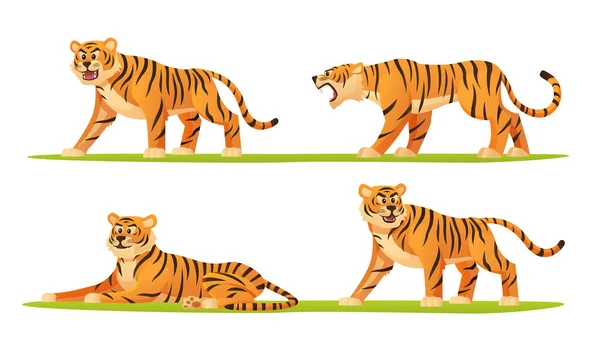 Zestaw Tygrysa Różnych Pozach Ilustracji Kreskówki — Wektor stockowy