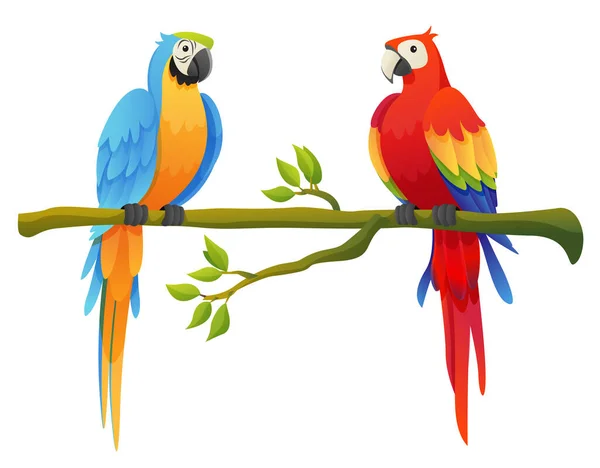 Cute Macaw Parrot Birds Set Perched Branch Cartoon Illustration — Stock Vector
