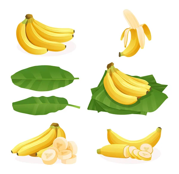 Conjunto Racimos Plátanos Frescos Individuales Pelar Cortar Rebanada Hojas Ilustración — Vector de stock