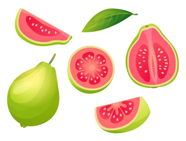 Készlet Friss Guava Egészben Fele Vágott Szelet Levél Illusztráció Elszigetelt — Stock Vector