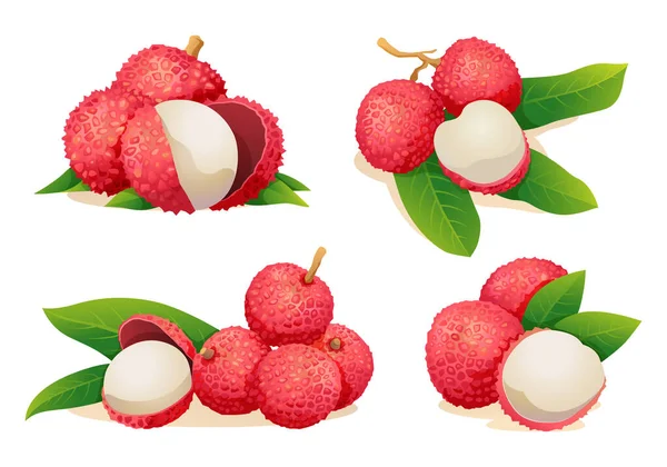 Συλλογή Από Νωπές Εικόνες Φρούτων Λίτσι Που Απομονώνονται Λευκό Φόντο — Διανυσματικό Αρχείο
