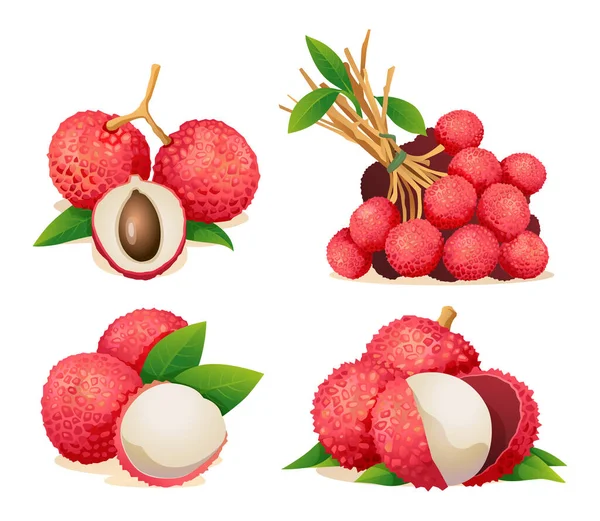 Verzameling Van Verse Lychee Fruit Illustraties Geïsoleerd Witte Achtergrond — Stockvector