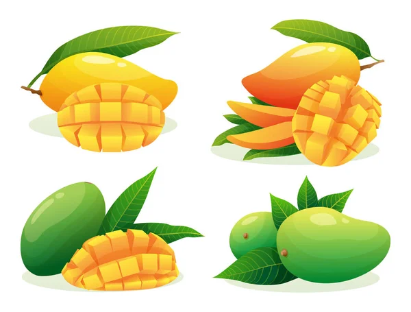 Ensemble Divers Fruits Mangue Frais Entiers Demi Tranches Cubes Illustrés — Image vectorielle