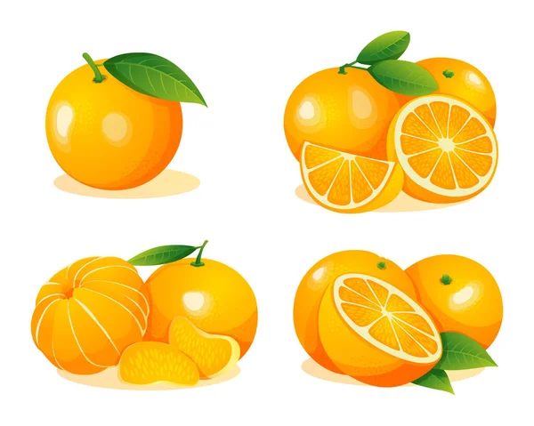 Set Frischer Orangenfrüchte Ganz Zur Hälfte Und Scheiben Geschnitten Illustration — Stockvektor