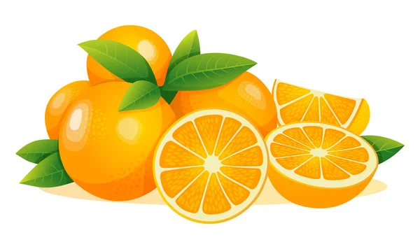 Uppsättning Färska Apelsin Frukter Hela Hälften Skuren Skiva Med Blad — Stock vektor
