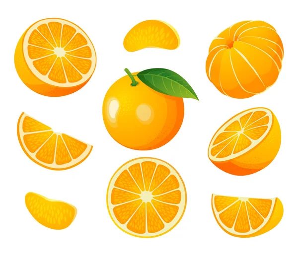 Σύνολο Φρέσκων Ολόκληρων Μισών Και Κομμένων Φέτα Εικόνων Πορτοκαλιών Φρούτων — Διανυσματικό Αρχείο