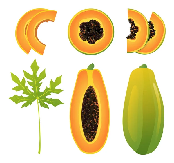 Set Fresh Whole Half Cut Slice Leaf Papaya Illustration Isolated — Stock Vector