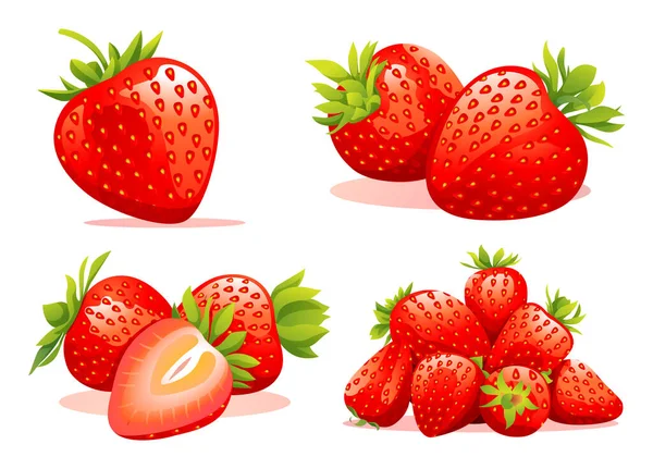 Set Fresh Strawberry Bunches Single Half Cut Illustration Isolated White — Stock Vector