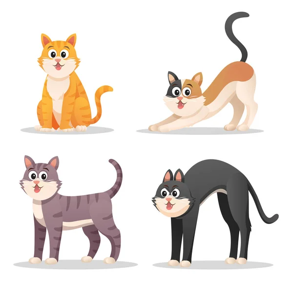 Conjunto Gatos Bonitos Várias Poses Desenho Animado Ilustração — Vetor de Stock