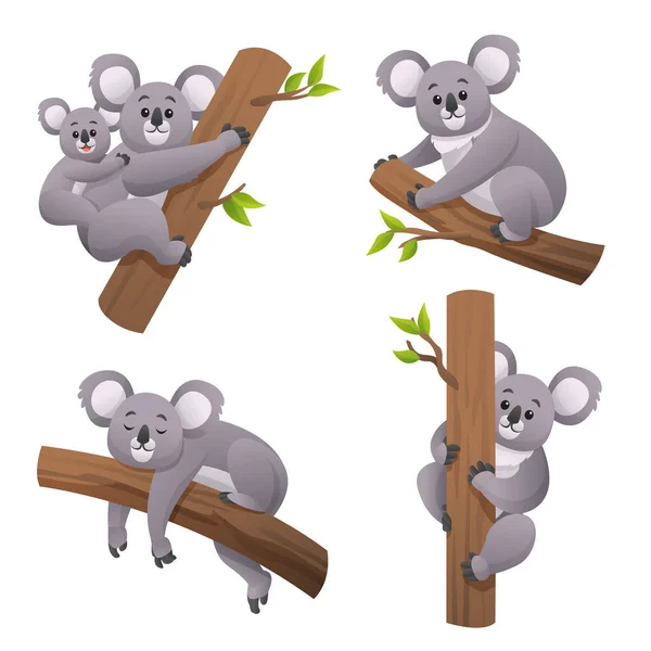 Leuke Koala Verschillende Poses Cartoon Illustratie — Stockvector