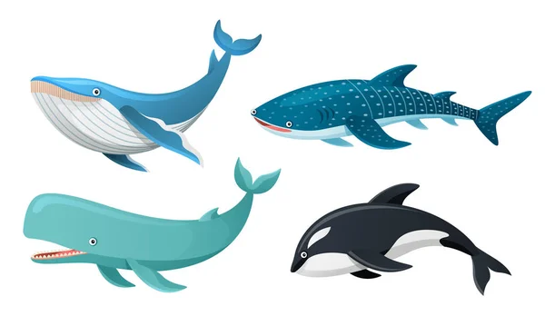 Φάλαινες Συλλογή Εικονογράφηση Κινουμένων Σχεδίων — Διανυσματικό Αρχείο