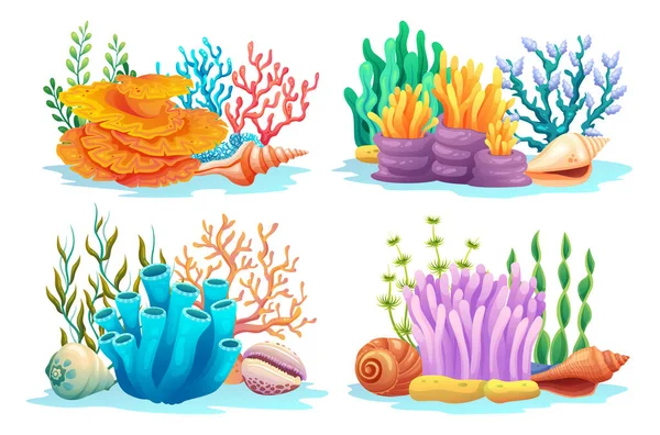 Set Van Koraalriffen Algen Zeewier Schelpen Verschillende Soorten Cartoon Illustratie — Stockvector