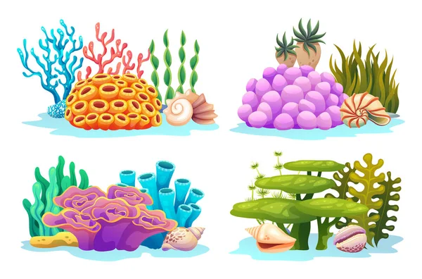 各类卡通画中的一组水下珊瑚礁 海藻和海贝 — 图库矢量图片