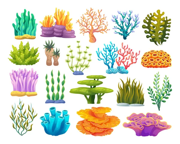 各类珊瑚礁 藻类和海藻卡通画 — 图库矢量图片