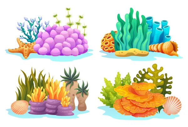 收集各类卡通画中的珊瑚礁 海藻和海贝壳 — 图库矢量图片