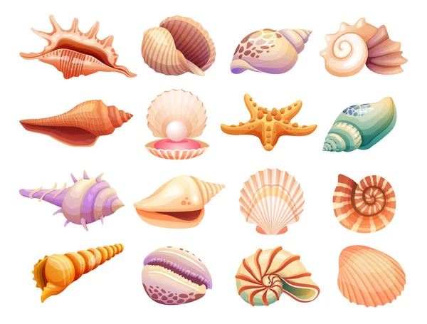 Collection Seashells Illustration Isolated White Background — Stock Vector