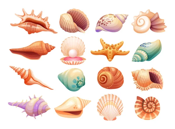 Set Various Seashells Illustration Isolated White Background — Stock Vector