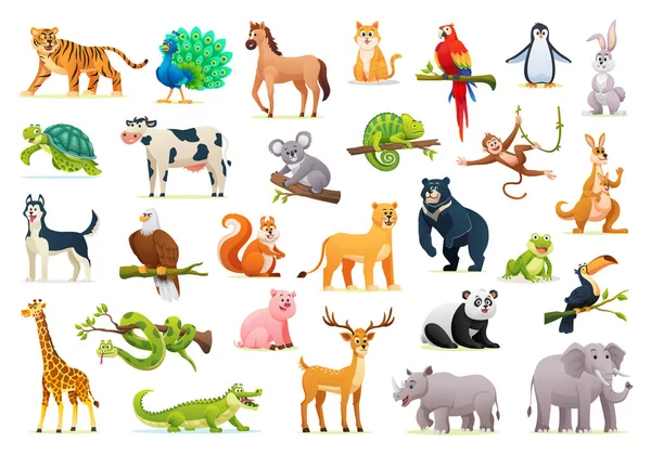 Collection Cute Cartoon Animal Illustrations White Background — Stock Vector