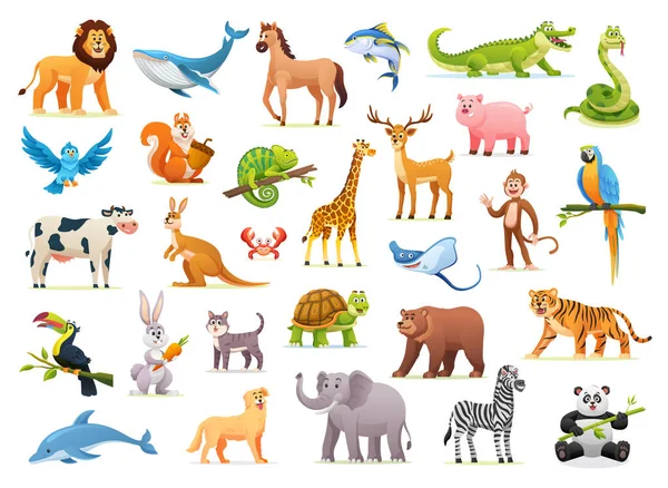 Collection Cute Cartoon Animal Illustrations — Stock Vector
