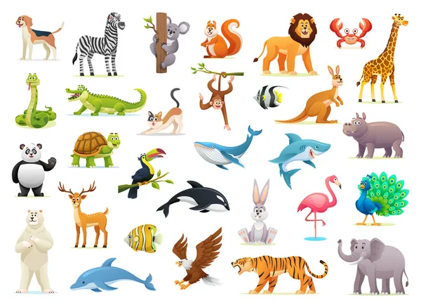 Collection Cute Wild Animal Illustrations White Background — Stock Vector