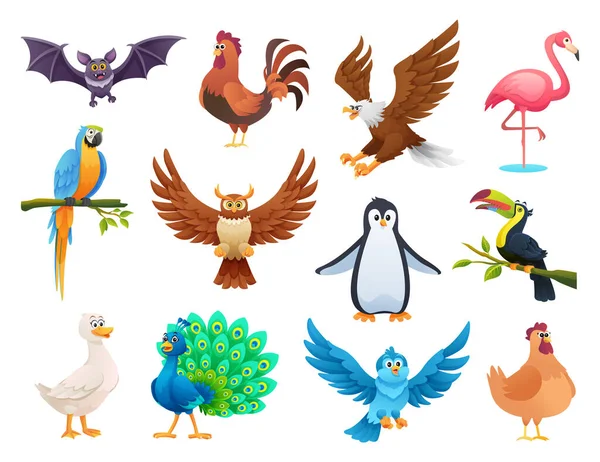 Conjunto Diferentes Aves Estilo Dibujos Animados — Vector de stock