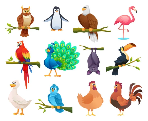 Collection Different Birds Cartoon Style — Stock Vector