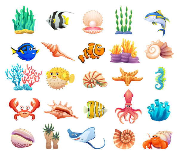 Sea life animals, sea shells, and coral reef cartoon collection