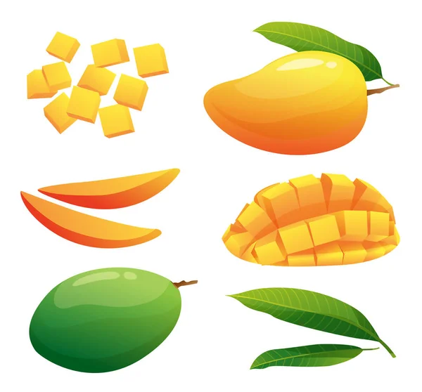 Σύνολο Νωπών Φρούτων Μάνγκο Ολόκληρο Ήμισυ Και Κυβικές Φέτες Εικονογράφηση — Διανυσματικό Αρχείο
