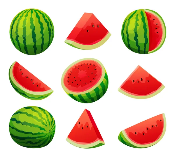 Set Van Sappige Watermeloen Geheel Half Gesneden Plak Illustratie Geïsoleerd — Stockvector
